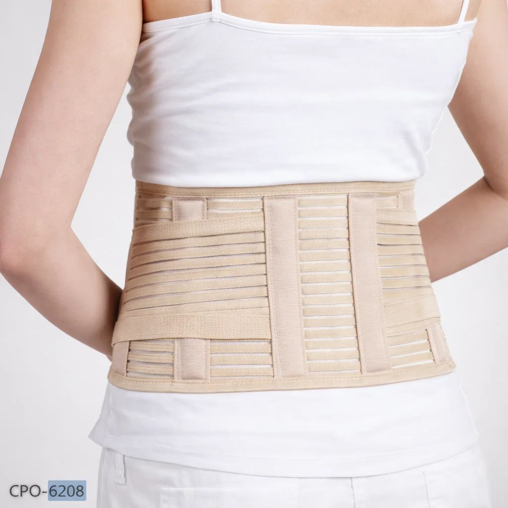 6" High Lumbar Support - Image 1