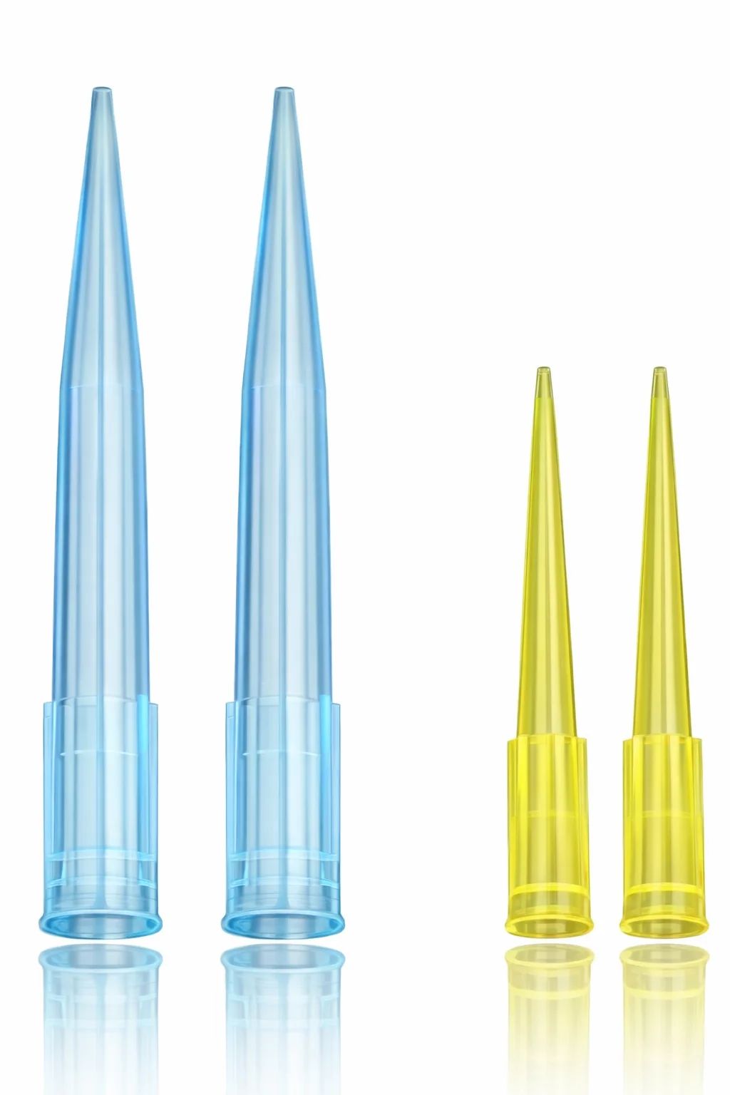 رؤوس ماصّات، أزرق وأصفر - Image 1