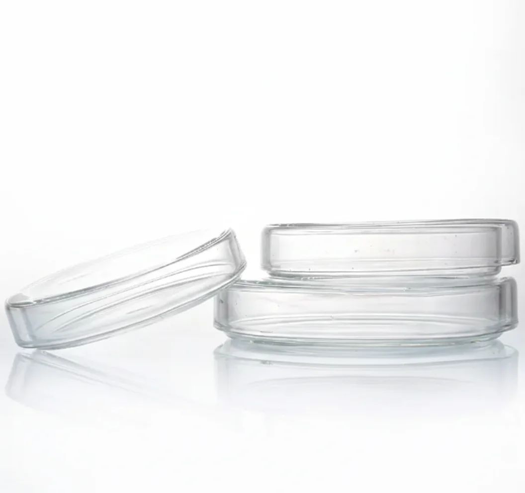 طبق بتري زجاجي لزراعة البكتيريا - Image 1